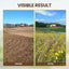 🔥Limited Sale - BUY 1 GET 1 FREE🔥Soil Improvement Loosening Agent