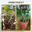🔥Limited Sale - BUY 1 GET 1 FREE🔥Soil Improvement Loosening Agent